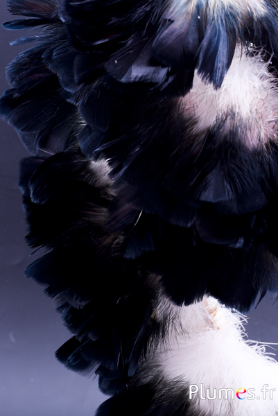 Frange dinde - long. plumes 10 cm - blanc pointe noire